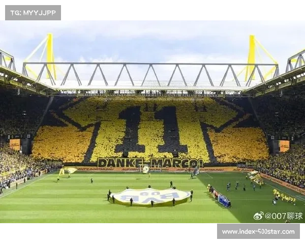 多特蒙德主场TIFO致敬传奇，伊杜纳信号公园气氛沸腾